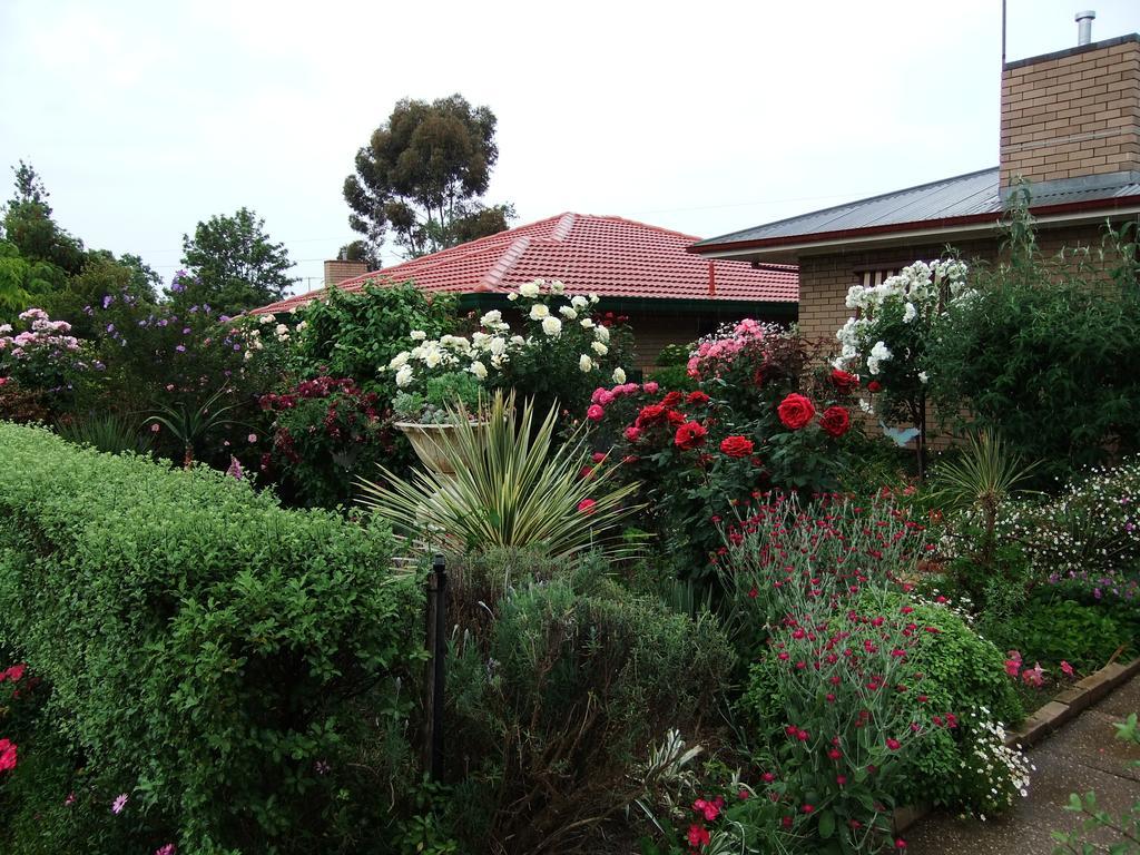 Admurraya House Bed & Breakfast Rutherglen Exterior photo