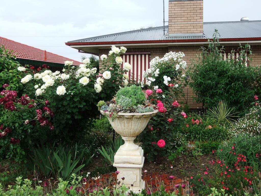 Admurraya House Bed & Breakfast Rutherglen Exterior photo