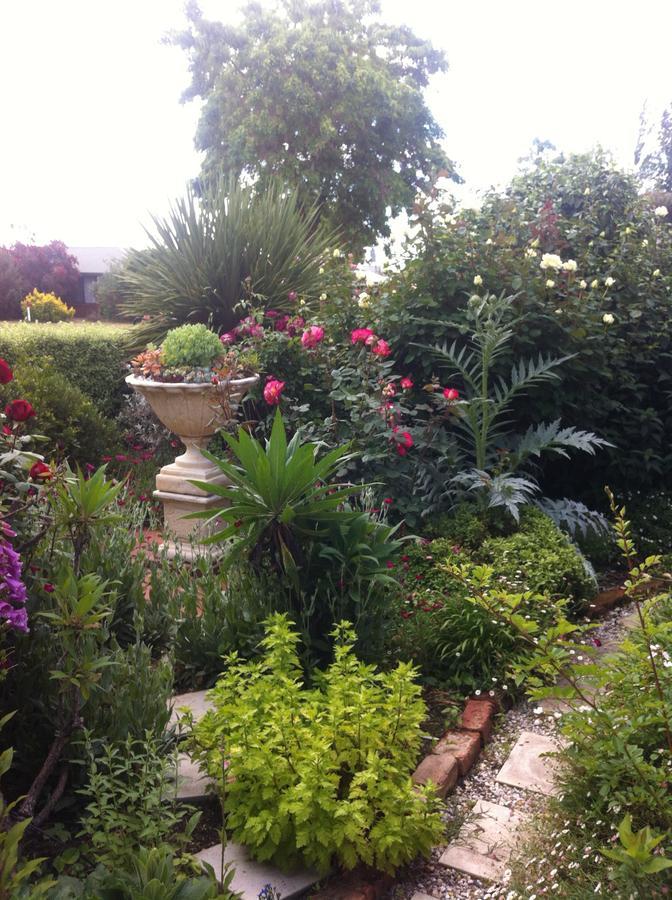 Admurraya House Bed & Breakfast Rutherglen Exterior photo